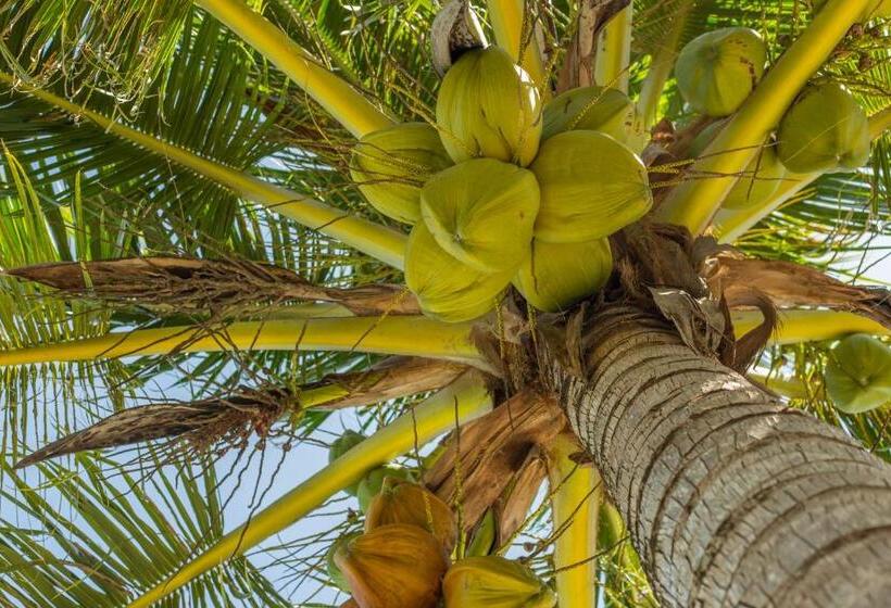 فندق صغير Wild Pasir Panjang