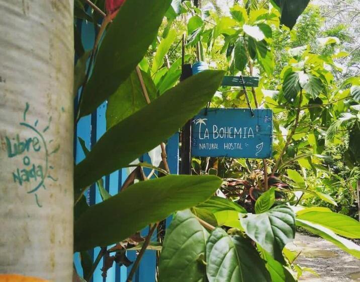 펜션 Hostal La Bohemia