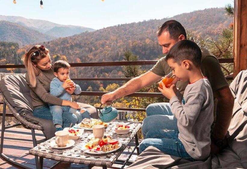 پانسیون Popock Dilijan 1