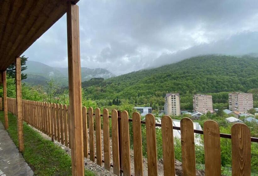 پانسیون Popock Dilijan 1