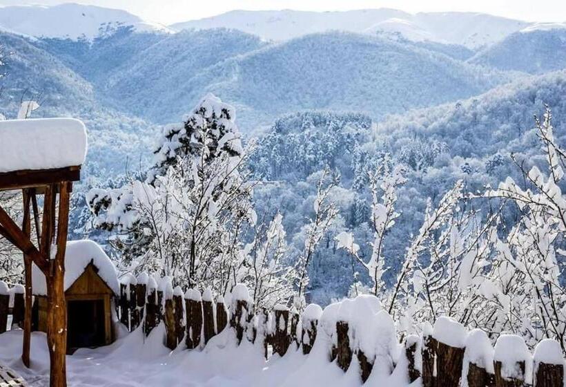 پانسیون Popock Dilijan 1