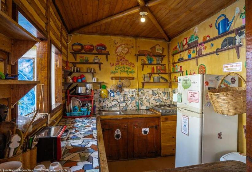 هاستل Hostal Bambu