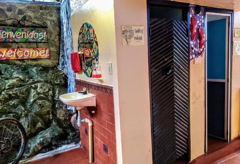 هاستل Hostal Bambu