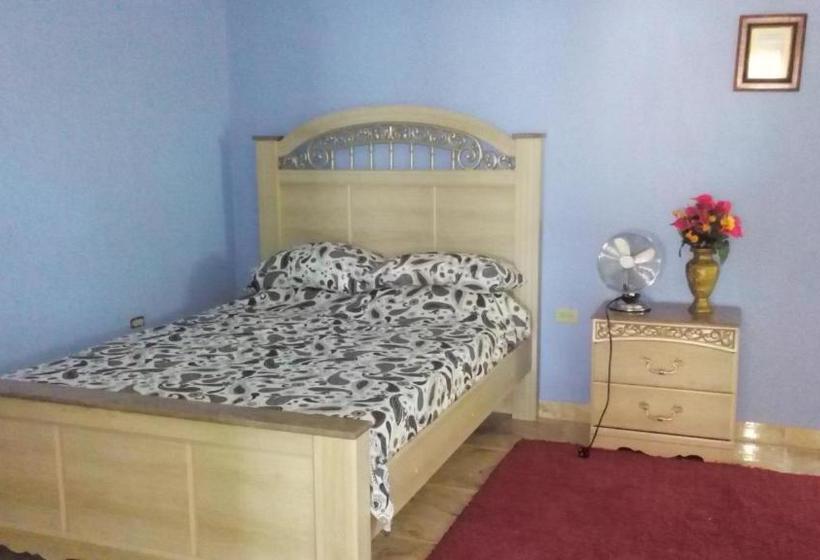 پانسیون Little Savoy Guest House