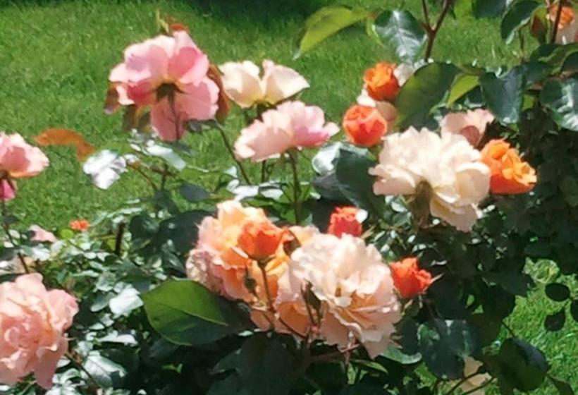 هاستل Rebenlandhof