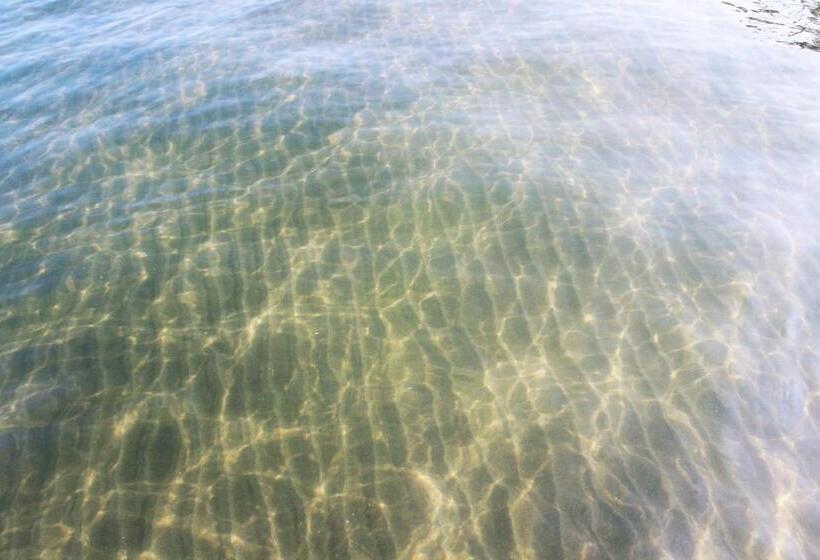 هتل Camino Palmero Coveñas