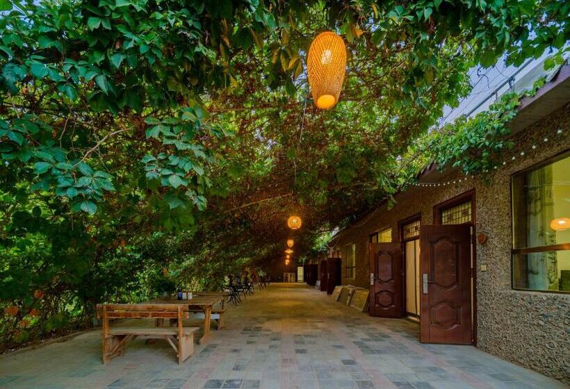 Pensjonat Dunhuang Hu Yang Inn