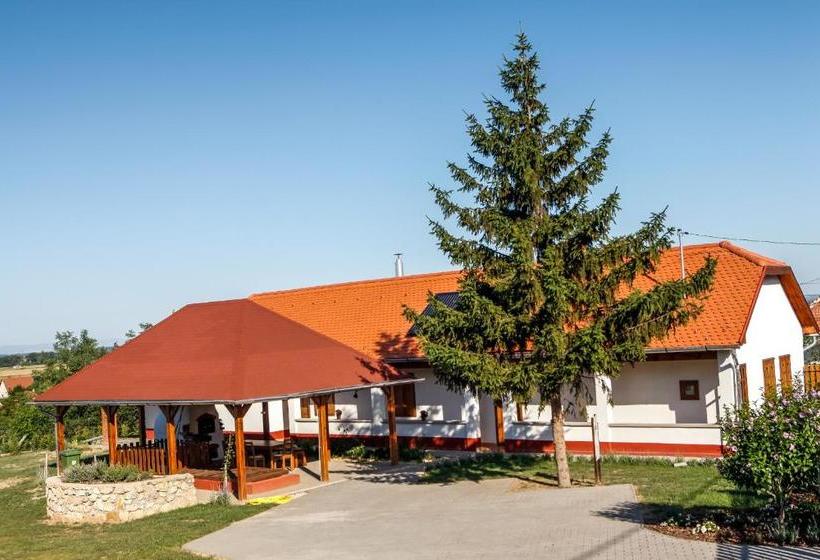 פנסיון Katica Vendégház