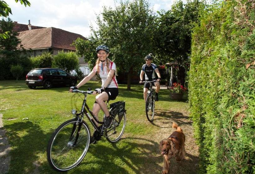 Gästehaus Ferk   Frühstückspension, Bed & Breakfast