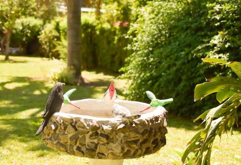 بنسيون Casa Calma