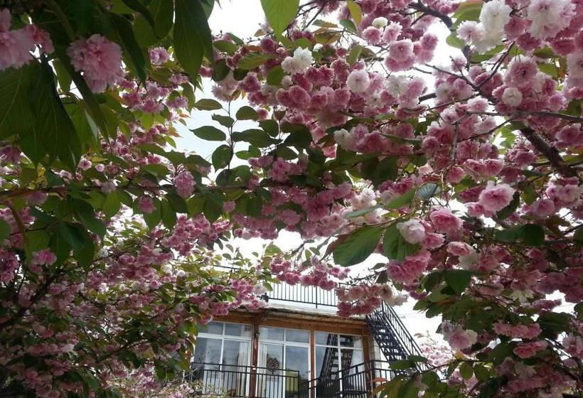 پانسیون Kevin's Trekker Inn