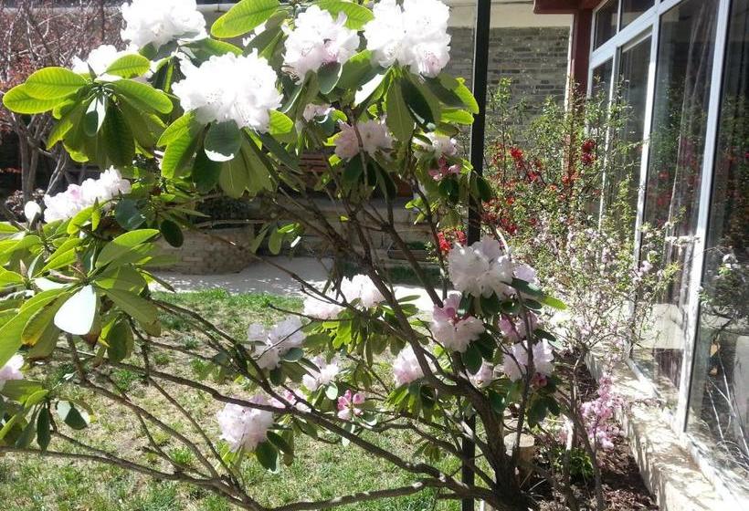 پانسیون Kevin's Trekker Inn