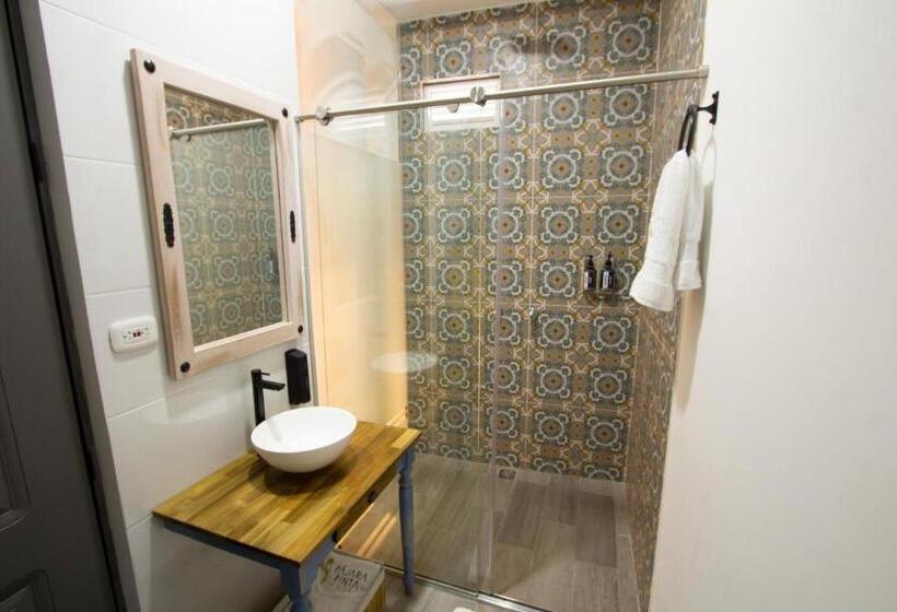 پانسیون Pajara Pinta