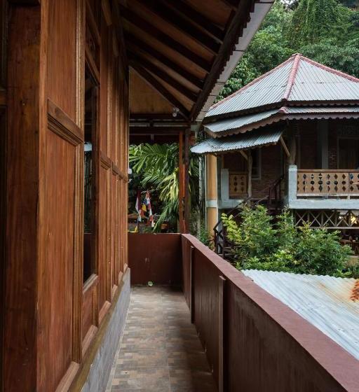 پانسیون Rain Forest Guest House