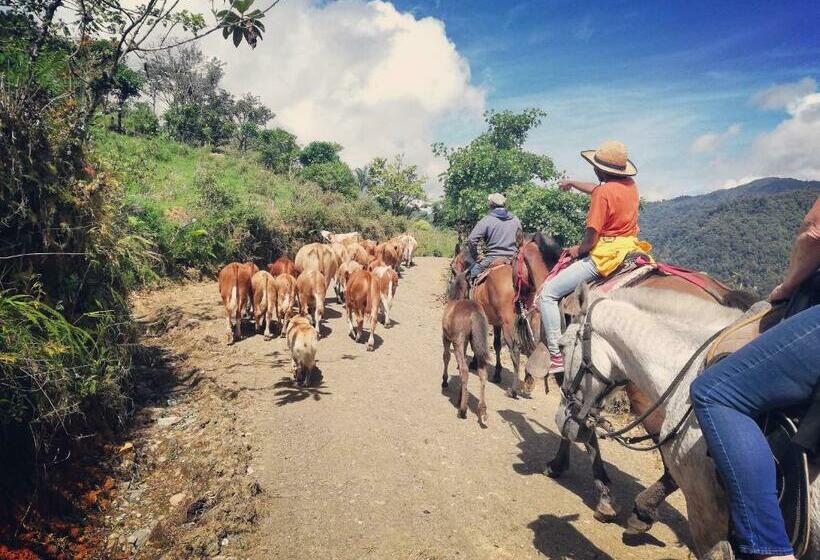 فندق Finca Queveri