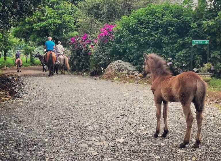 فندق Finca Queveri