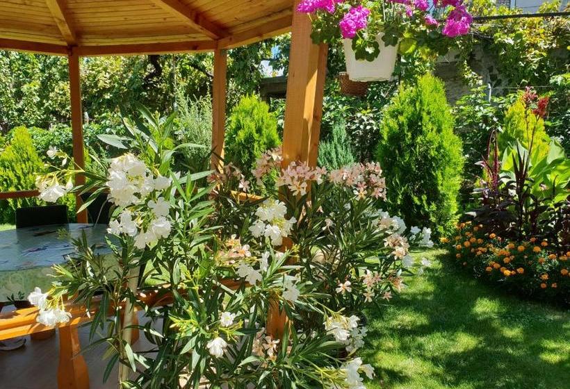 Pensão Kyurkchievi Guest House