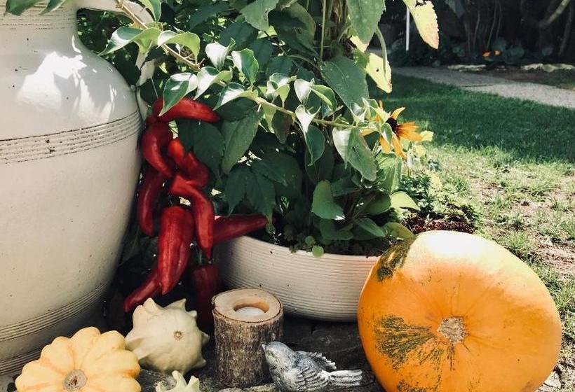 پانسیون Relaxační Studio Vera S Ubytováním