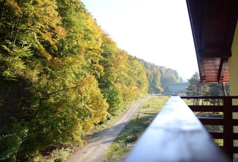 بنسيون Vila A&n