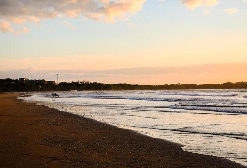 هاستل Pipe House Playa Grande