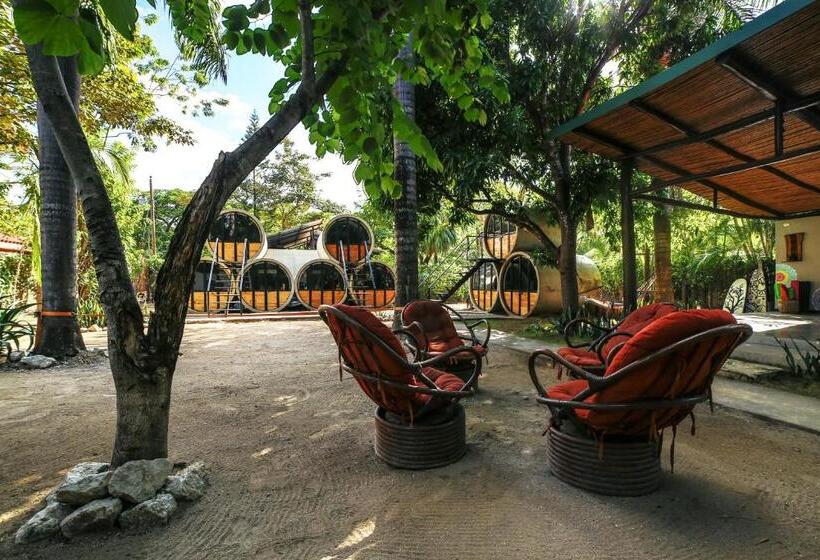 هاستل Pipe House Playa Grande