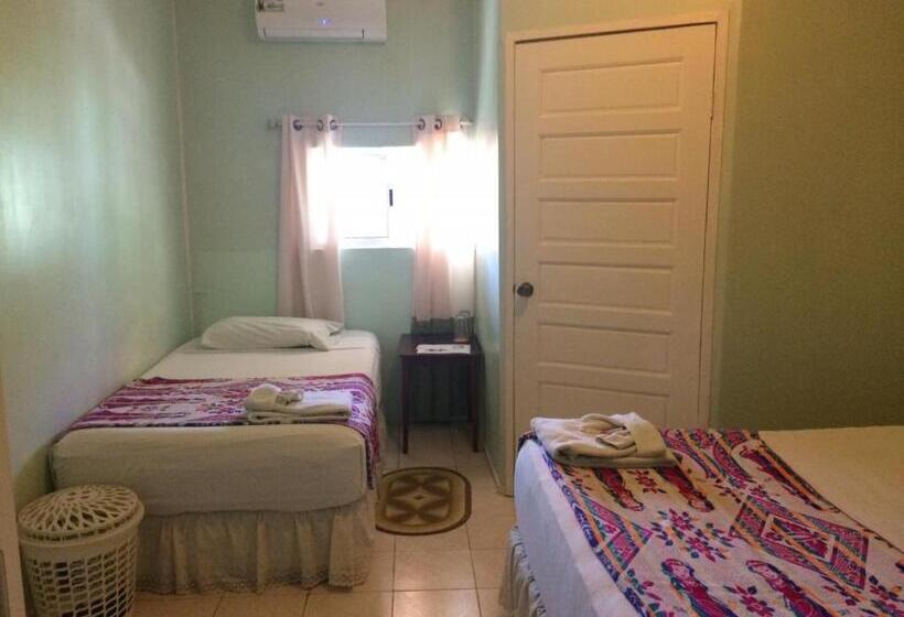 بنسيون Don Santiago Guesthouse Downtown