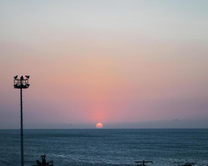 پانسیون Hostal Pelikan Taganga