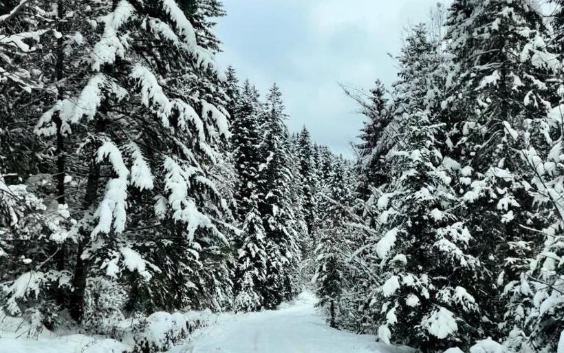 ペンション Private House Scherbovets