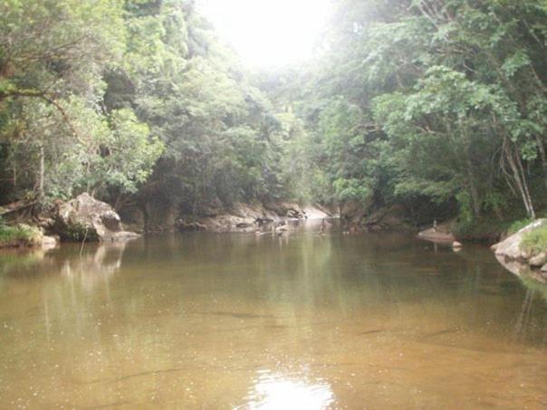فندق صغير Sitio Flor Das Aguas