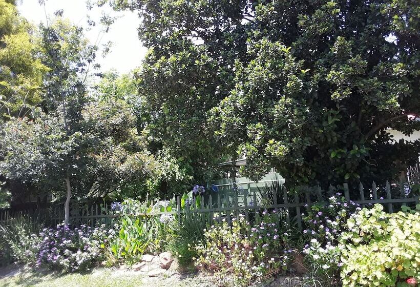 פנסיון Boer And Brit Self Catering Guest House