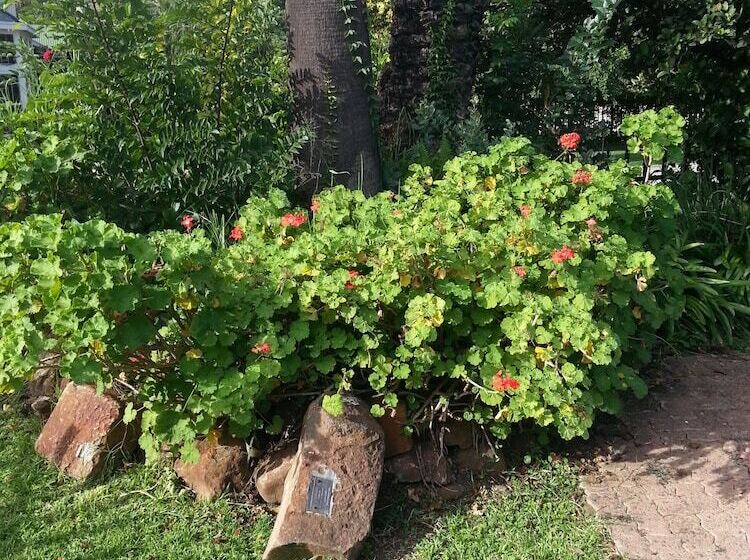פנסיון Boer And Brit Self Catering Guest House