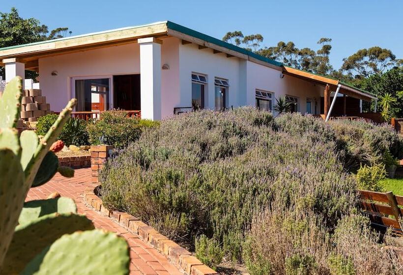 膳宿费 Capelands Wine Farm