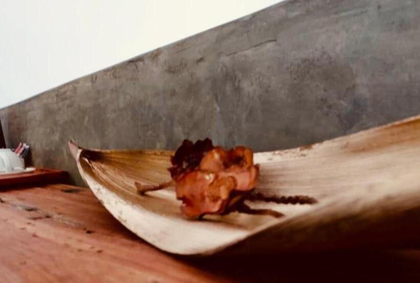 بنسيون Helwas Zanzibar Beach