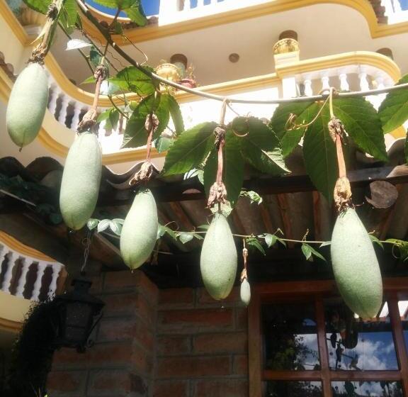 پانسیون Hostal Curiñan