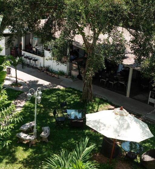 膳宿费 Koh Samui Resort & Restaurant   Villa Giacomelli