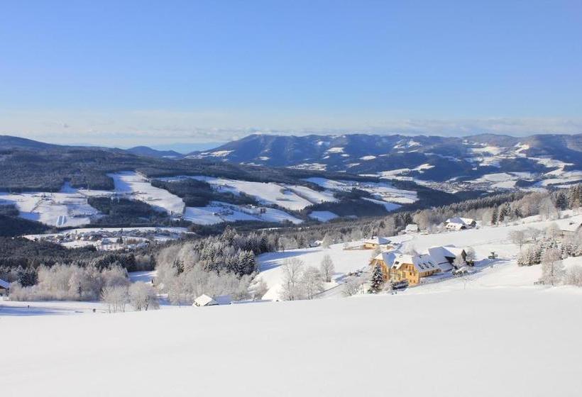 旅馆 Wildwiesenhof