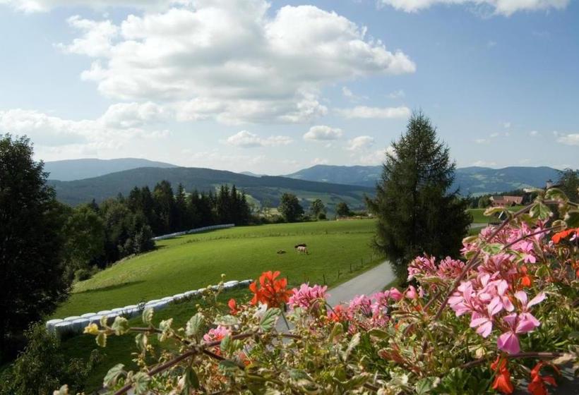 旅馆 Wildwiesenhof