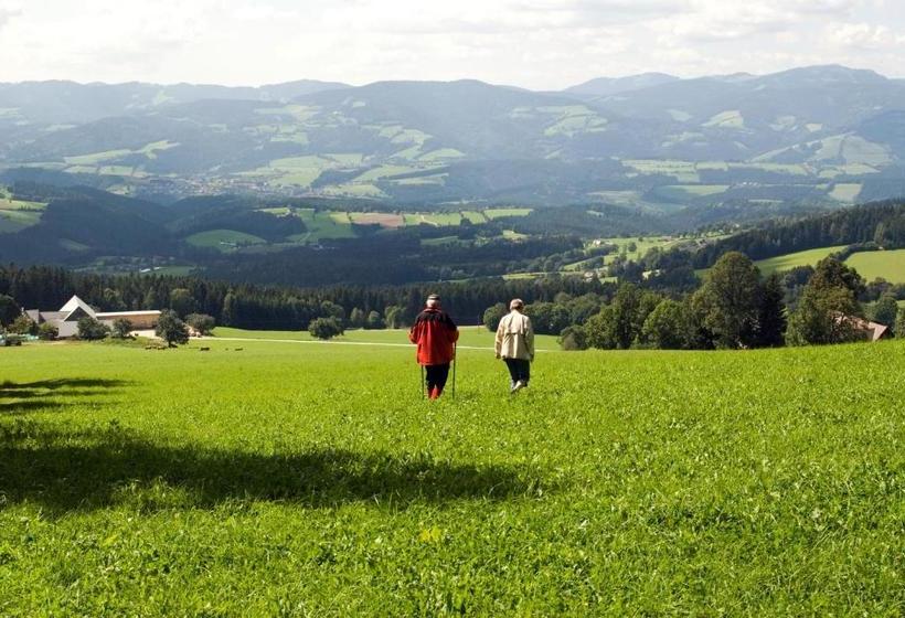 旅馆 Wildwiesenhof