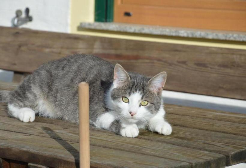 فندق Bauernhof Unterhöfner