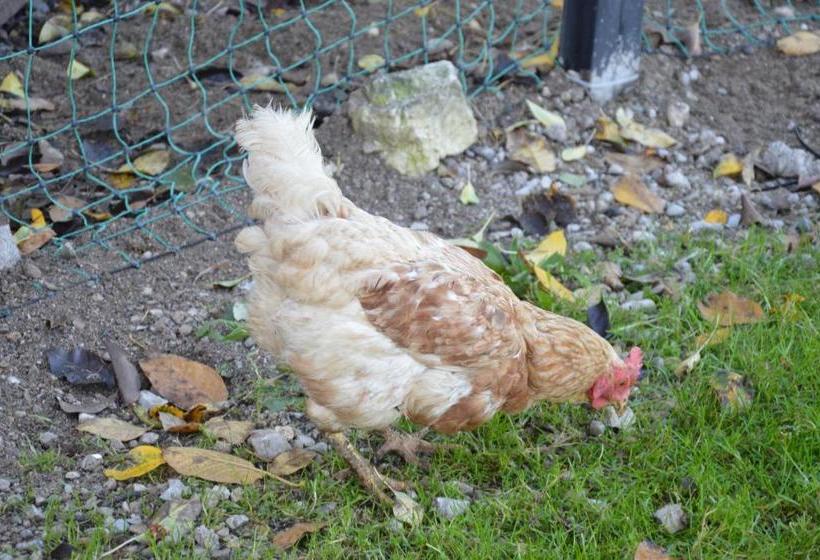 فندق Bauernhof Unterhöfner