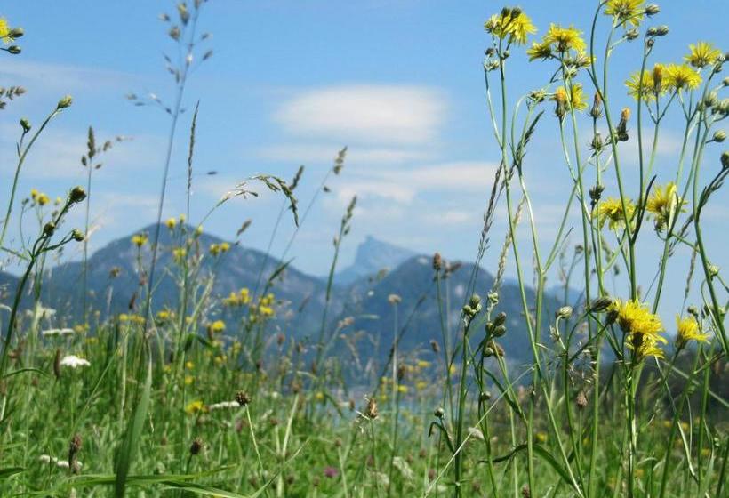 فندق Bauernhof Unterhöfner