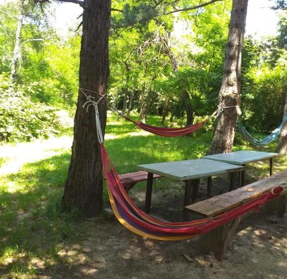 پانسیون Lodging Vidmar