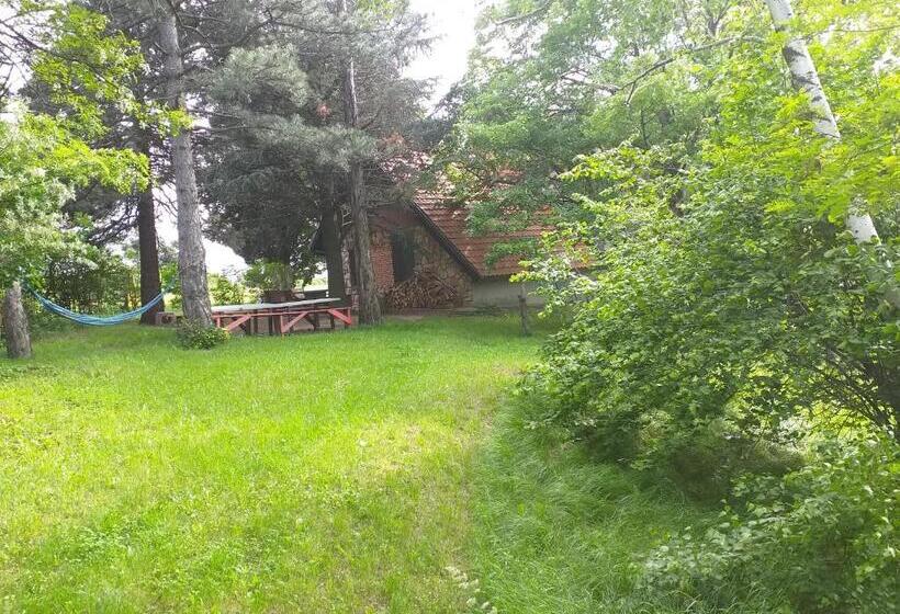 پانسیون Lodging Vidmar