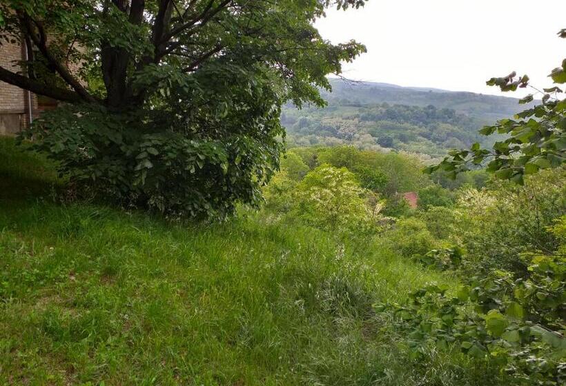 پانسیون Lodging Vidmar