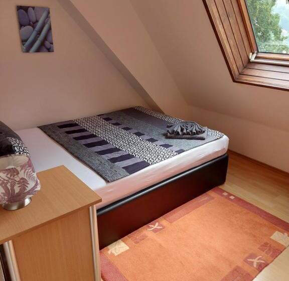 پانسیون Penzion U štoly Jáchymov