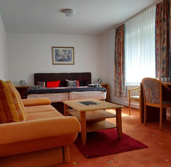 پانسیون Penzion U štoly Jáchymov