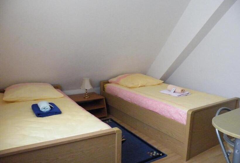 پانسیون Penzion U štoly Jáchymov