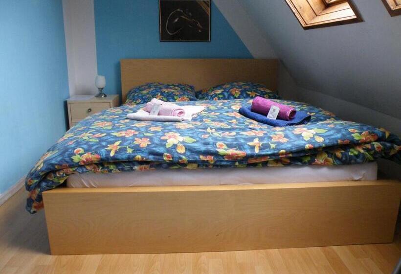 پانسیون Penzion U štoly Jáchymov