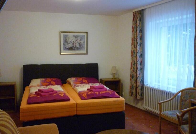 پانسیون Penzion U štoly Jáchymov