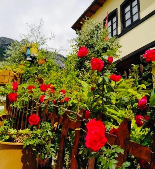 بنسيون Rooms Emiliano Castle Of Kruja